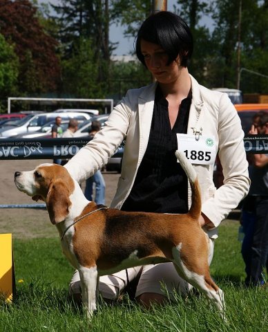 lodz 2012